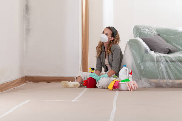 Reliable Mold Remediation contractor in Mount Ephraim, NJ by WQB Mold Removal